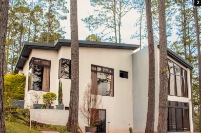 Grupo Videas house surrounded by trees