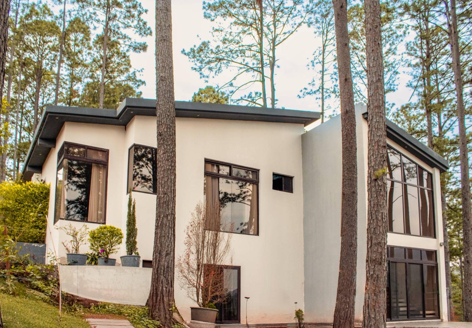 White house with black windows among pine trees