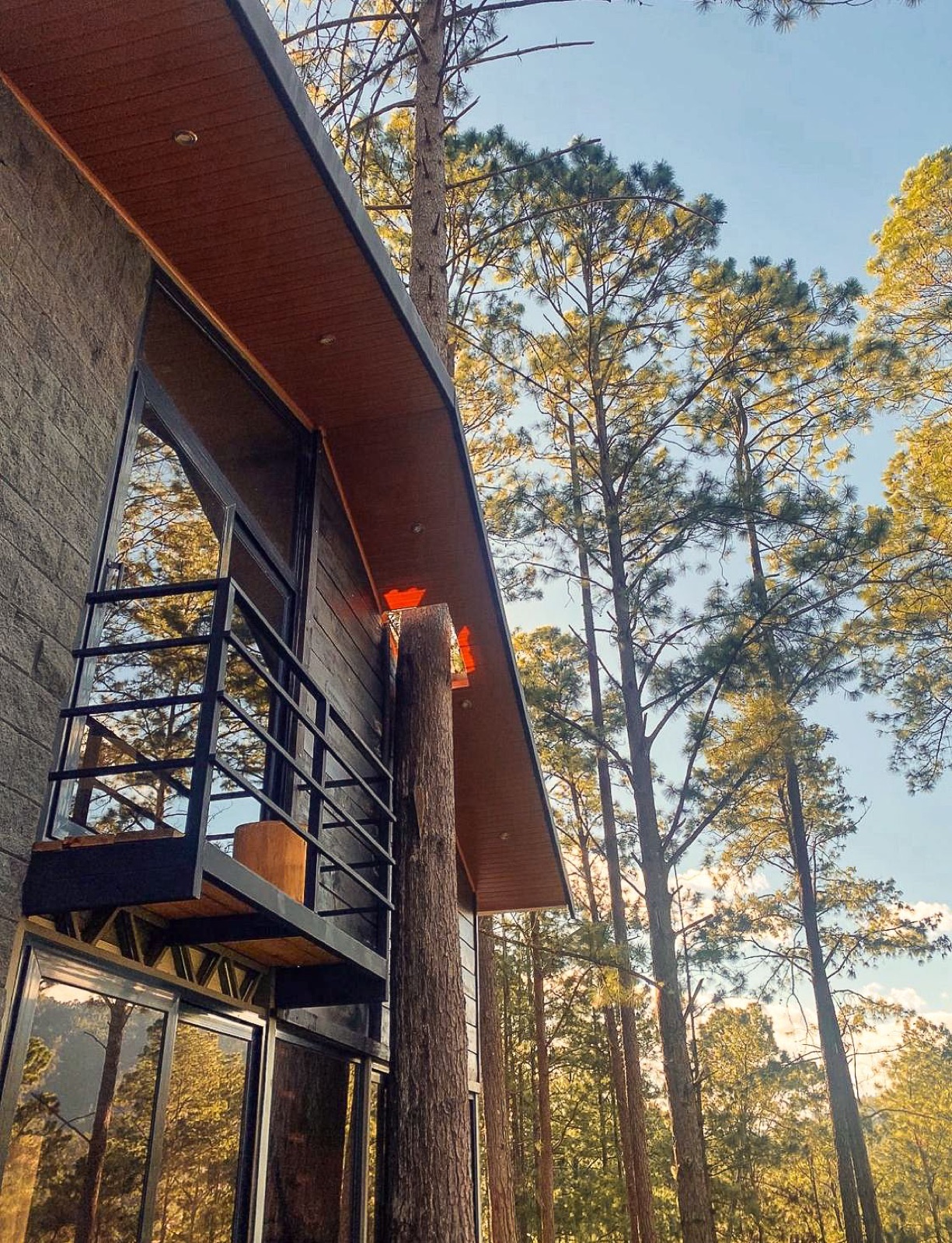 Cabin eaves and balcony looking up into the pines