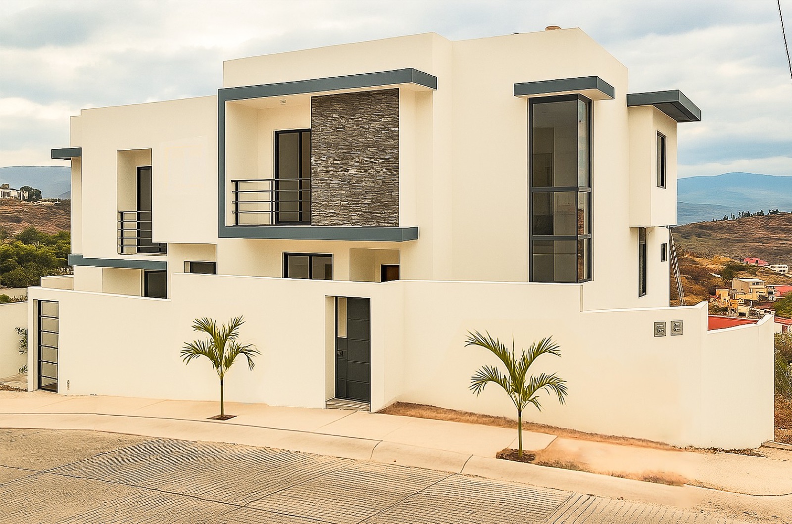 A white modern Videas home with gray frames and young palms